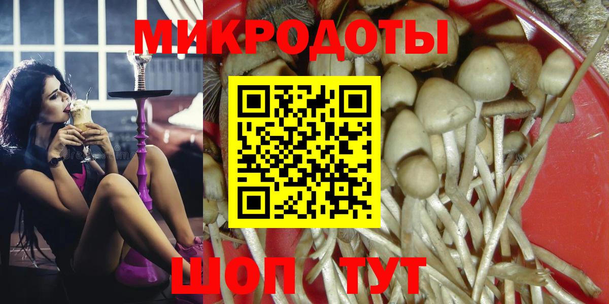 Псилоцибиновые грибы GOLDEN TEACHER Новосибирск